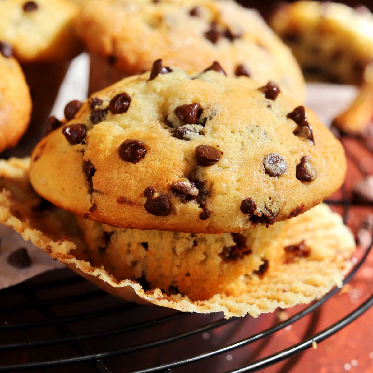The Best Bakery-Style Fluffy Chocolate Chip Muffins